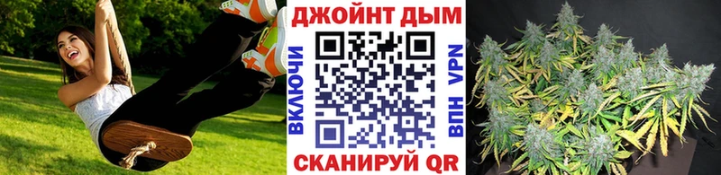 Купить где  Сальск  Каннабис Ganja 